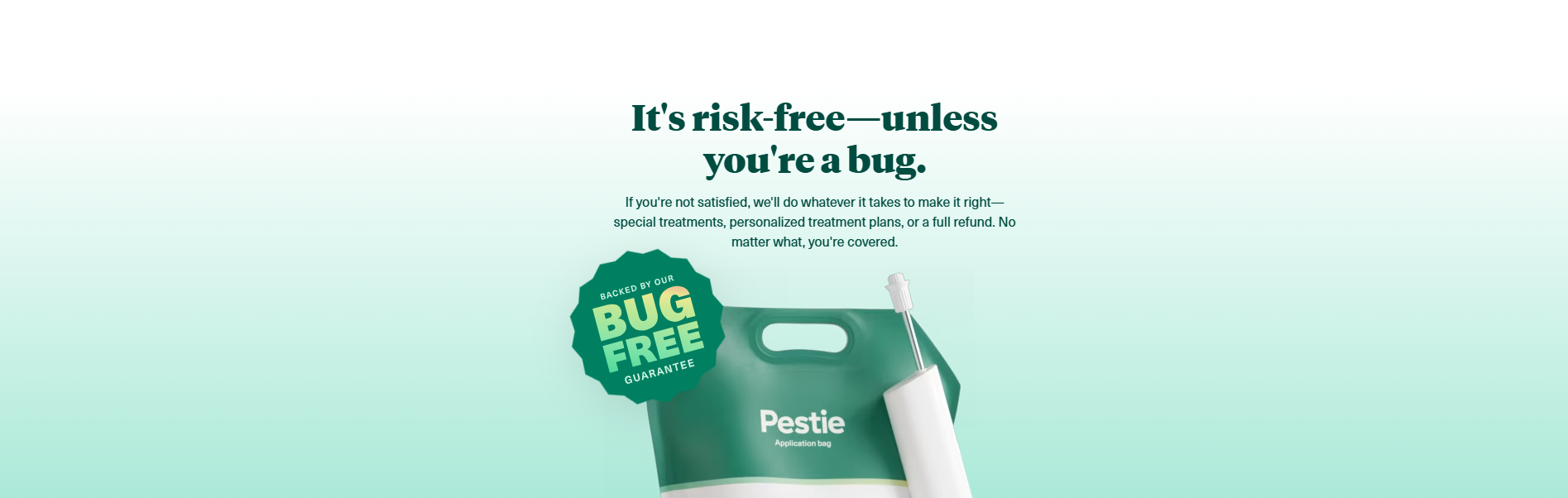 Professional Pest Control Made Simple